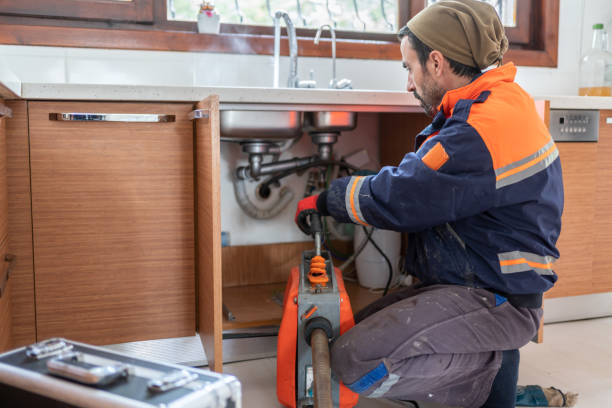 Best Plumbing Services Near Me  in Clarendon Hls, IL