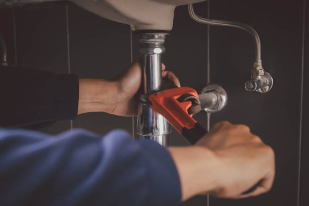 Best Commercial Plumbing Services  in Clarendon Hls, IL
